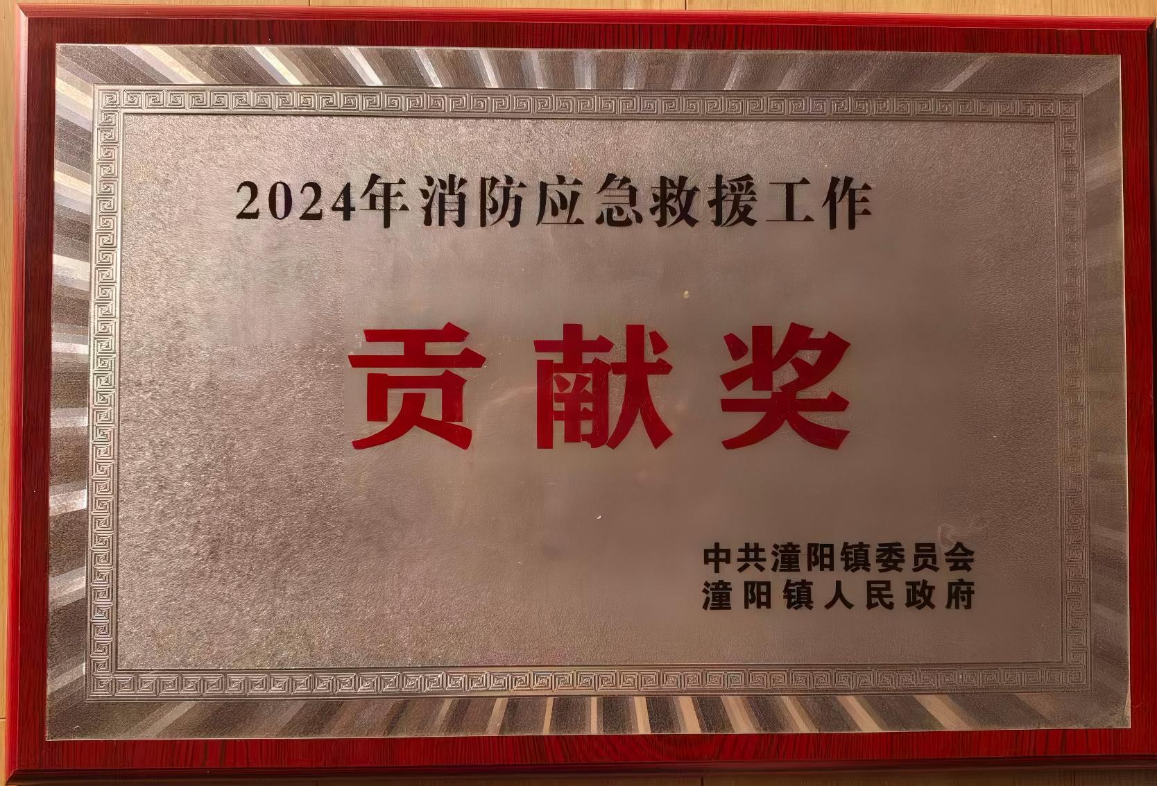 2024年消防应急救援工作贡献奖